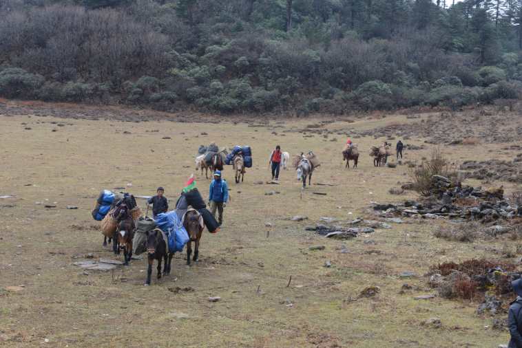 Bhutan, Dagala Trek, , Walkopedia