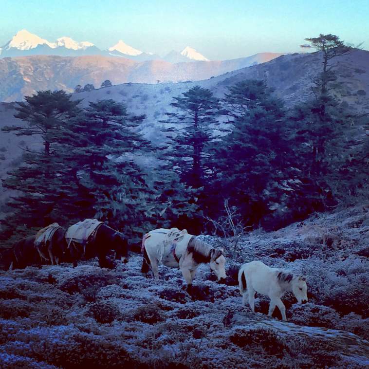 © Stephen Barber Dagala Trek: © Stephen Barber