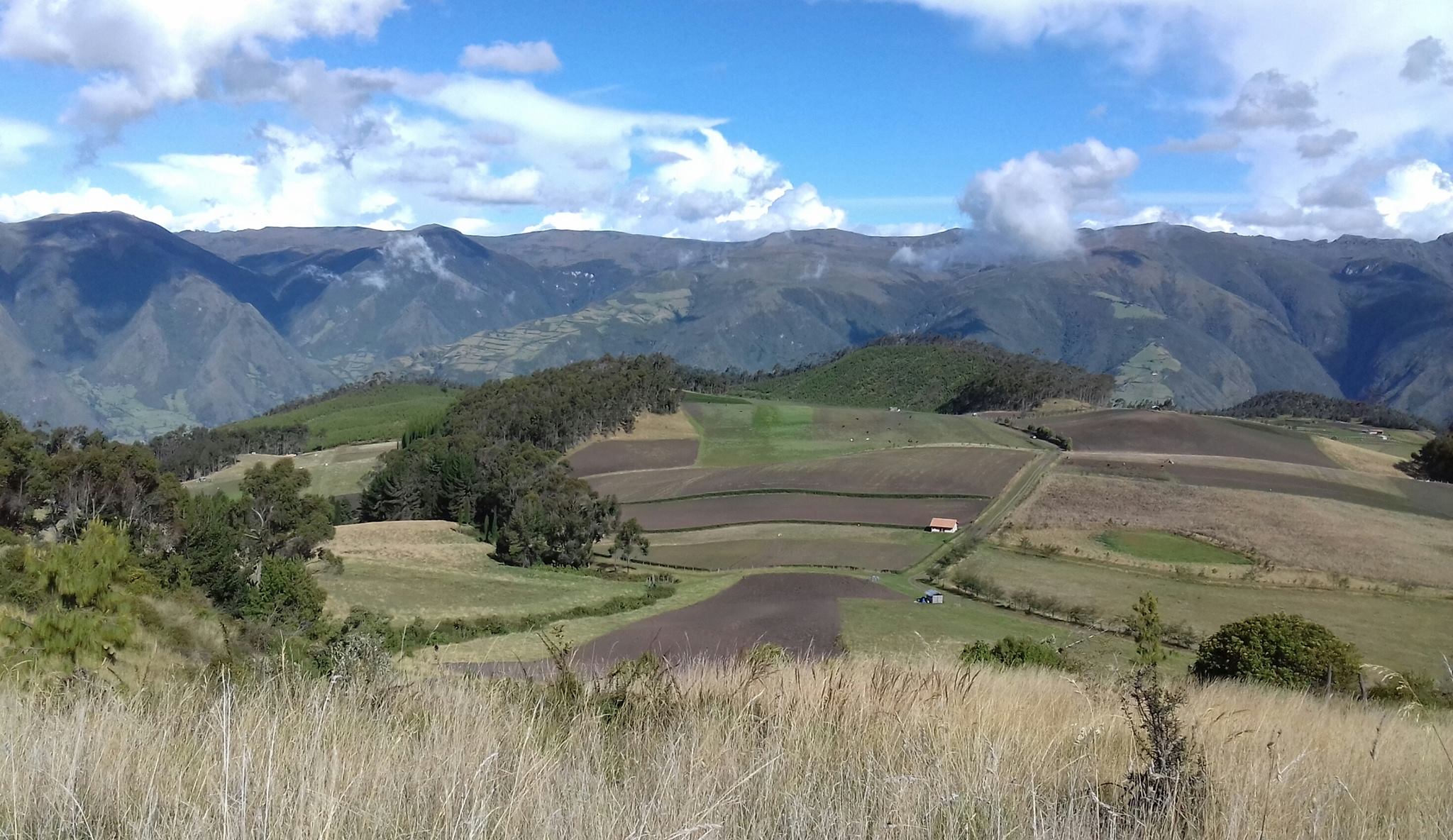 Ecuador Northern Andes: Otavalo Area, Cubilche, , Walkopedia