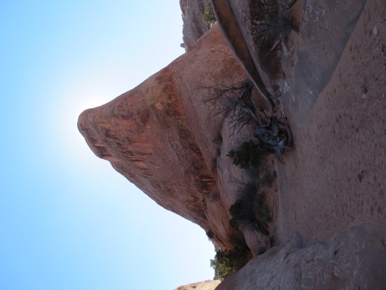 USA SW: Arches NP, Devil's Garden and Primitive Loop , , Walkopedia