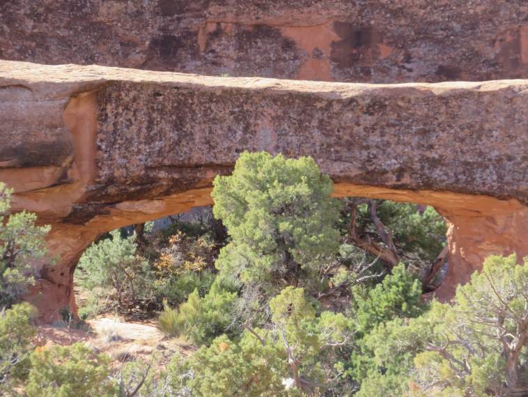 USA SW: Arches NP, Devil's Garden and Primitive Loop , , Walkopedia