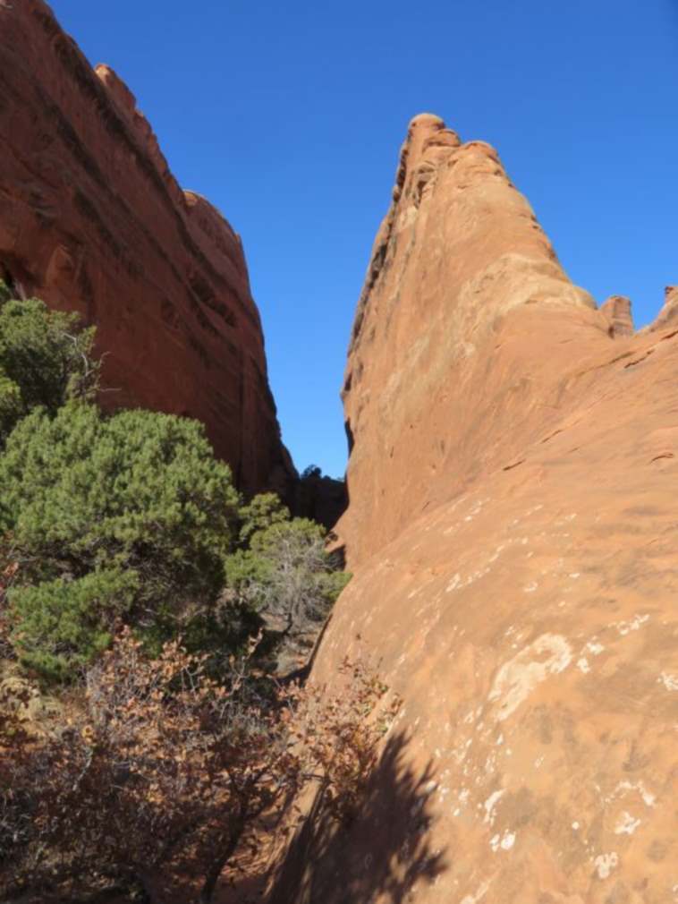 USA SW: Arches NP, Devil's Garden and Primitive Loop , , Walkopedia