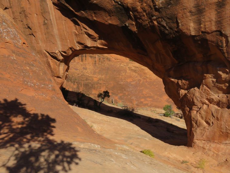 USA SW: Arches NP, Devil's Garden and Primitive Loop , , Walkopedia