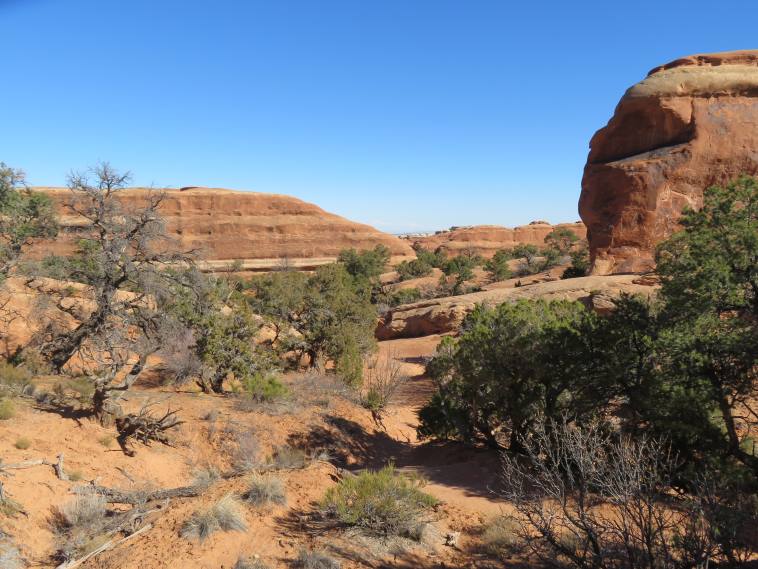 USA SW: Arches NP, Devil's Garden and Primitive Loop , , Walkopedia