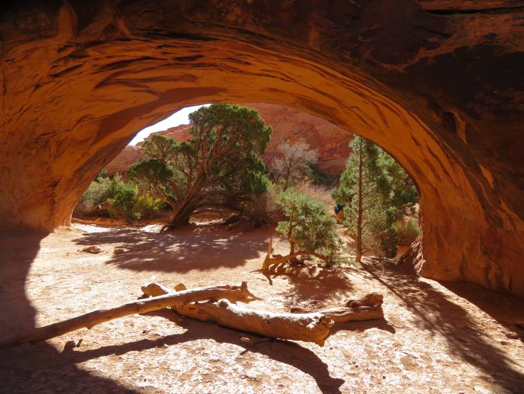 USA SW: Arches NP, Devil's Garden and Primitive Loop , , Walkopedia