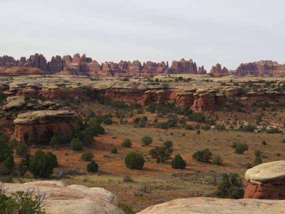 USA SW: Canyonlands NP, The Needles, The Needles from formation near Squaw Flat, Walkopedia