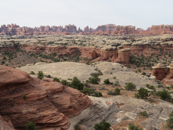 USA SW: Canyonlands NP, The Needles, The Needles from formation near Squaw Flat, Walkopedia