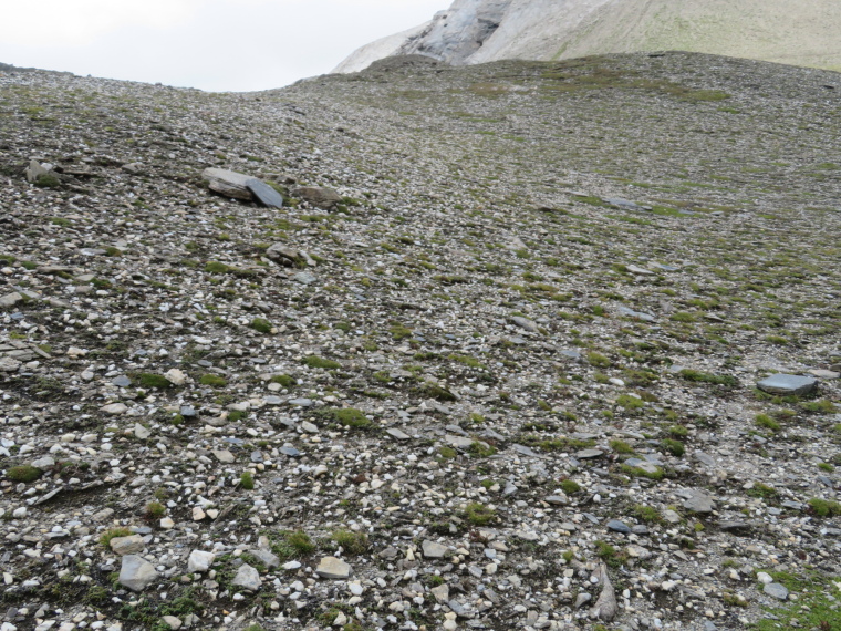 Austria Hohe Tauern, Sudetendeutscher Hohenweg , Field of quartz pebbles, Walkopedia