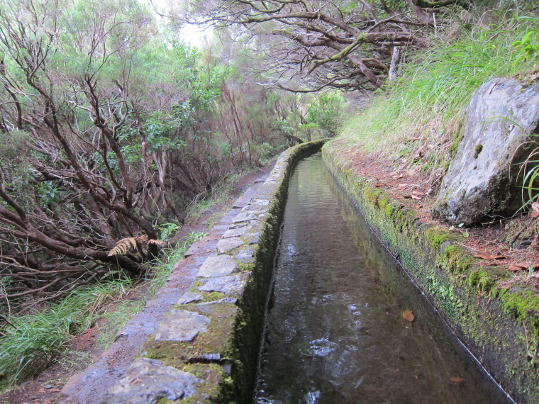 Portugal Madeira, Madeira , 25 Fontes levada, Walkopedia