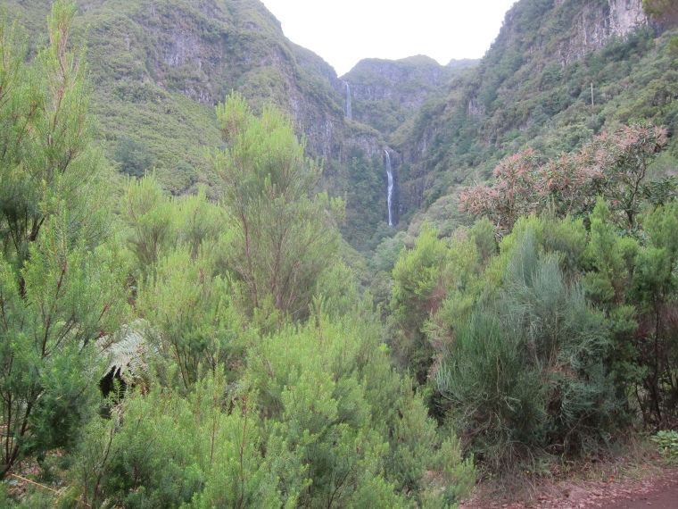 Portugal Madeira, Madeira , On the 25 Fontes levada, Walkopedia