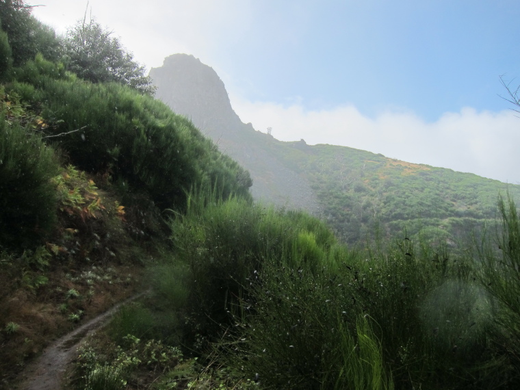 Madeira : Boca Corrida to Pico Grande, high ridge - © William Mackesy