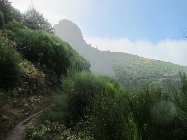 Portugal Madeira, Madeira , Boca Corrida to Pico Grande, high ridge, Walkopedia