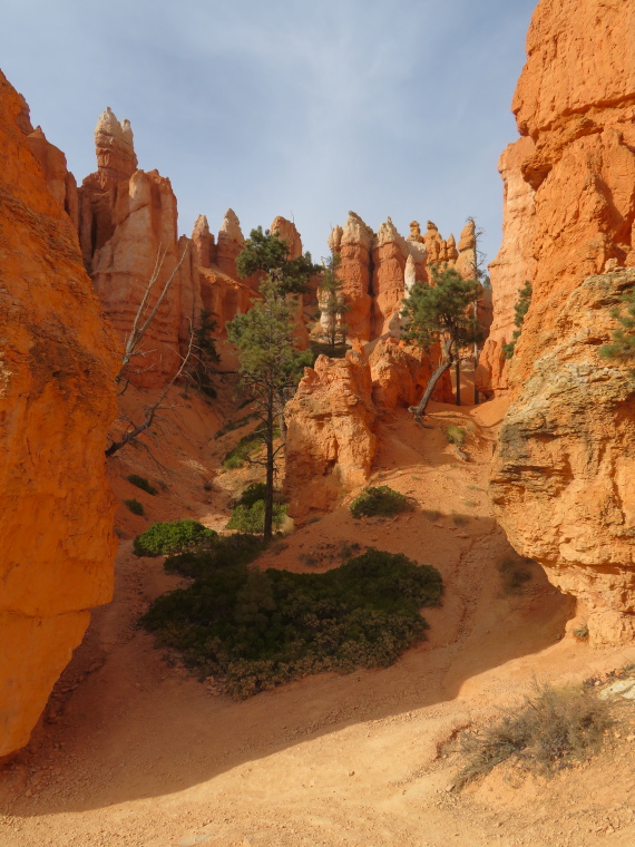 USA SW: Bryce Canyon, Navajo Loop, , Walkopedia