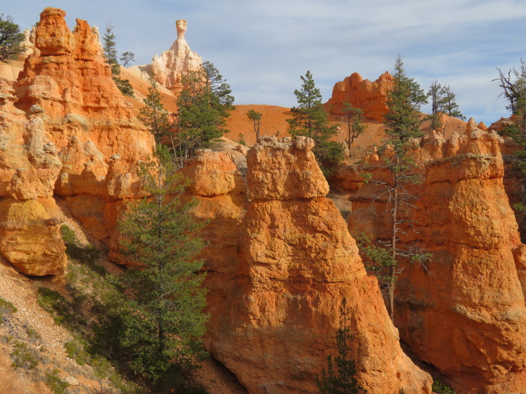 USA SW: Bryce Canyon, Navajo Loop, , Walkopedia