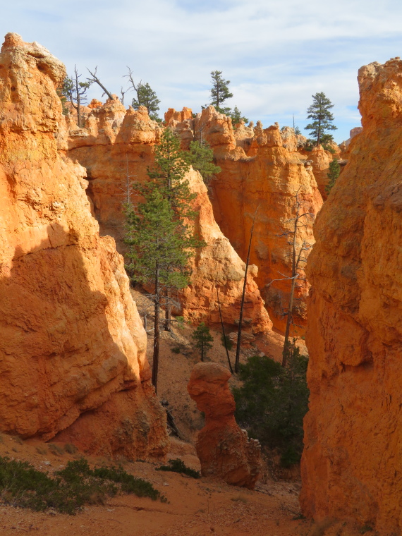 USA SW: Bryce Canyon, Navajo Loop, , Walkopedia