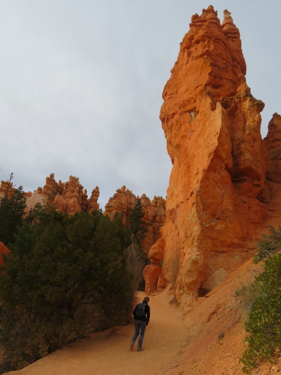 USA SW: Bryce Canyon, Navajo Loop, , Walkopedia