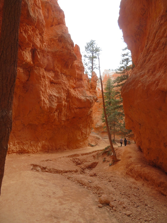 USA SW: Bryce Canyon, Navajo Loop, , Walkopedia