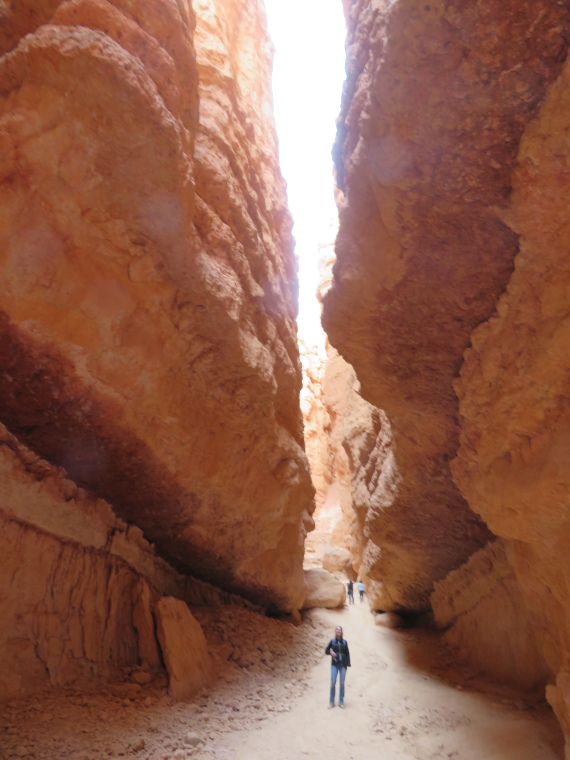 USA SW: Bryce Canyon, Navajo Loop, , Walkopedia