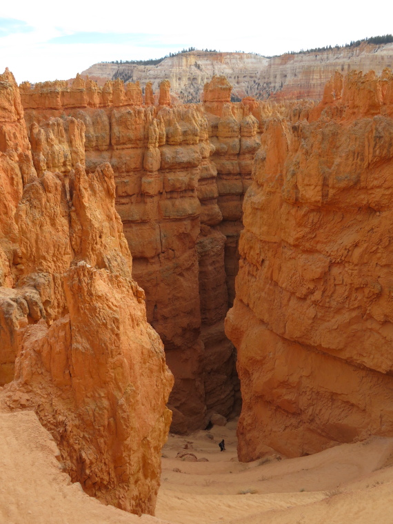 USA SW: Bryce Canyon, Navajo Loop, , Walkopedia