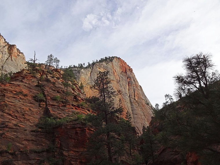 USA SW: Zion, Observation Point and Hidden Canyon, Cable Mountain from Observation Point Trail , Walkopedia