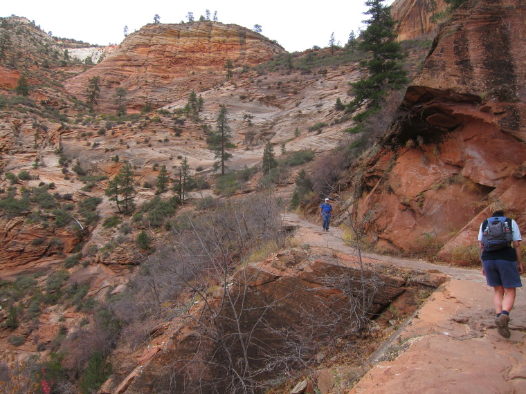 USA SW: Zion, Observation Point and Hidden Canyon, , Walkopedia