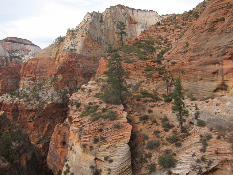 USA SW: Zion, Observation Point and Hidden Canyon, , Walkopedia