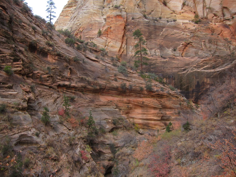 USA SW: Zion, Observation Point and Hidden Canyon, , Walkopedia