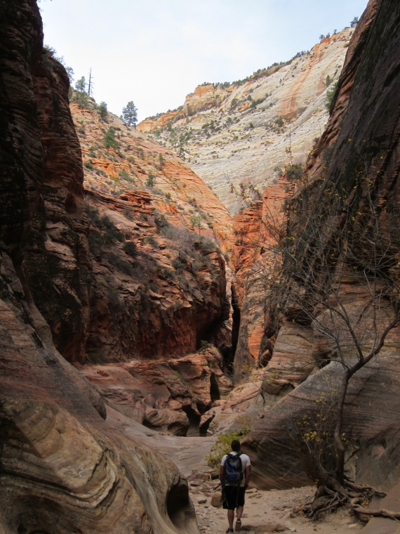 USA SW: Zion, Observation Point and Hidden Canyon, Slot Canyon, Walkopedia