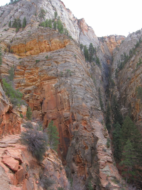 USA SW: Zion, Observation Point and Hidden Canyon, , Walkopedia