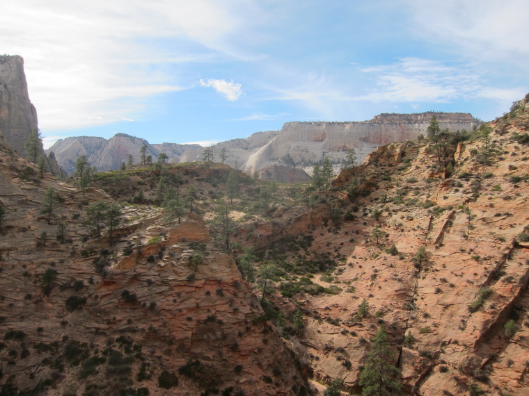 USA SW: Zion, Observation Point and Hidden Canyon, , Walkopedia