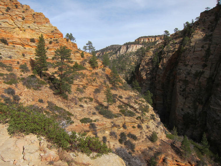 USA SW: Zion, Observation Point and Hidden Canyon, , Walkopedia