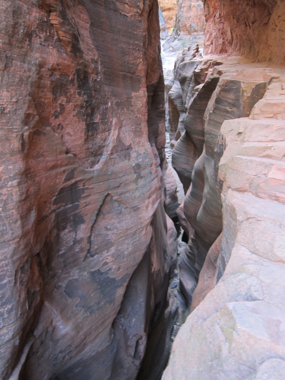USA SW: Zion, Observation Point and Hidden Canyon, Slot Canyon section, Walkopedia