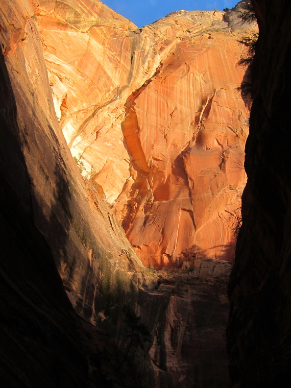 USA SW: Zion, Observation Point and Hidden Canyon, , Walkopedia