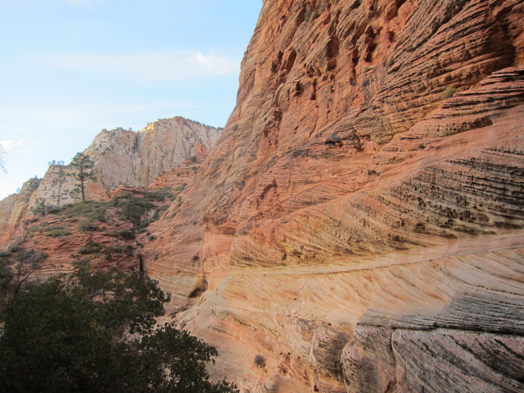 USA SW: Zion, Observation Point and Hidden Canyon, , Walkopedia