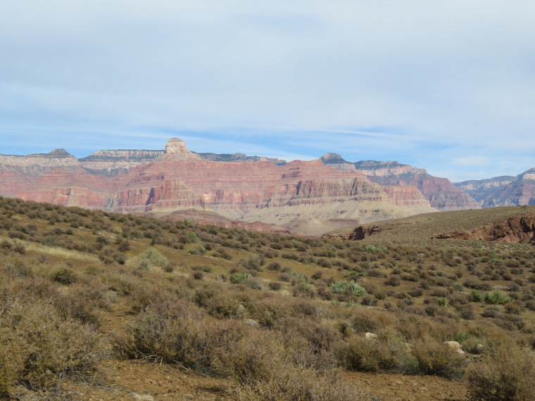 USA SW: Grand Canyon, Grand Day Loop , Tonto, North wall looking to N Rim, Walkopedia