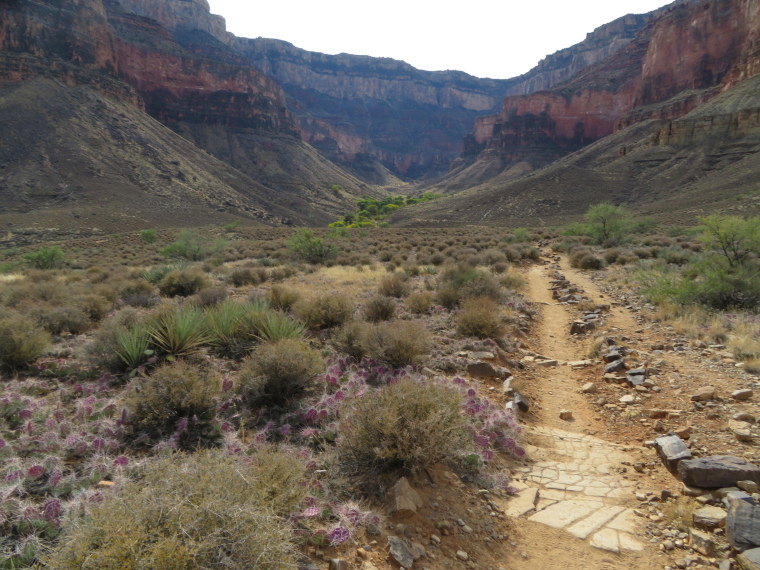 USA SW: Grand Canyon, Grand Day Loop , Looking back to Bright Angel Trail above Indian Garden, Plateau Point trail, Walkopedia