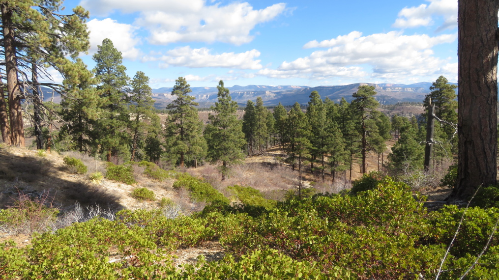 USA SW: Zion, West Rim Trail, Horse Pasture Plateau, Walkopedia