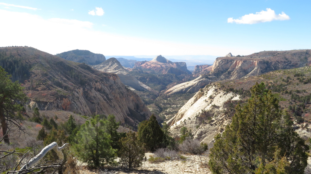 USA SW: Zion, West Rim Trail, , Walkopedia