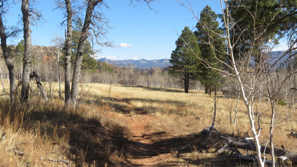 USA SW: Zion, West Rim Trail, , Walkopedia