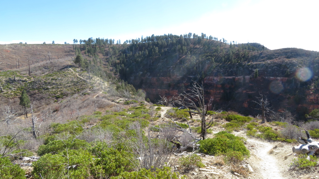 USA SW: Zion, West Rim Trail, Right on the rim, Walkopedia