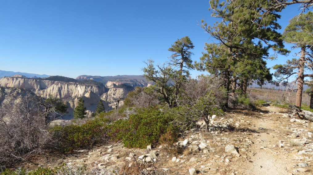 USA SW: Zion, West Rim Trail, , Walkopedia