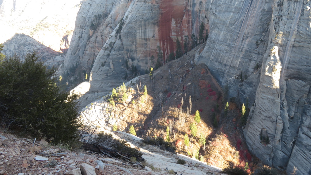 USA SW: Zion, West Rim Trail, First giddy views down off the slickrock, Walkopedia