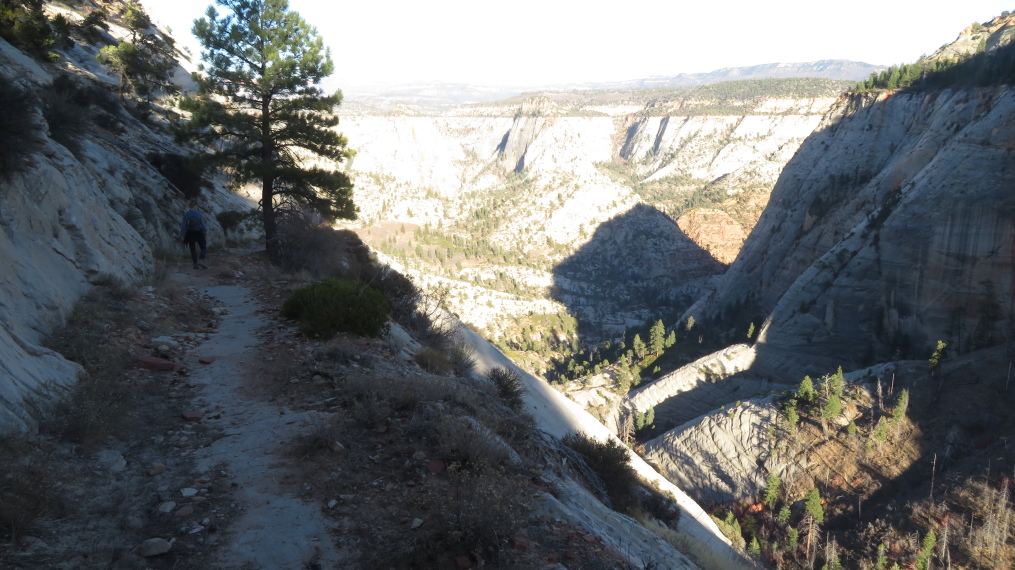 USA SW: Zion, West Rim Trail, , Walkopedia