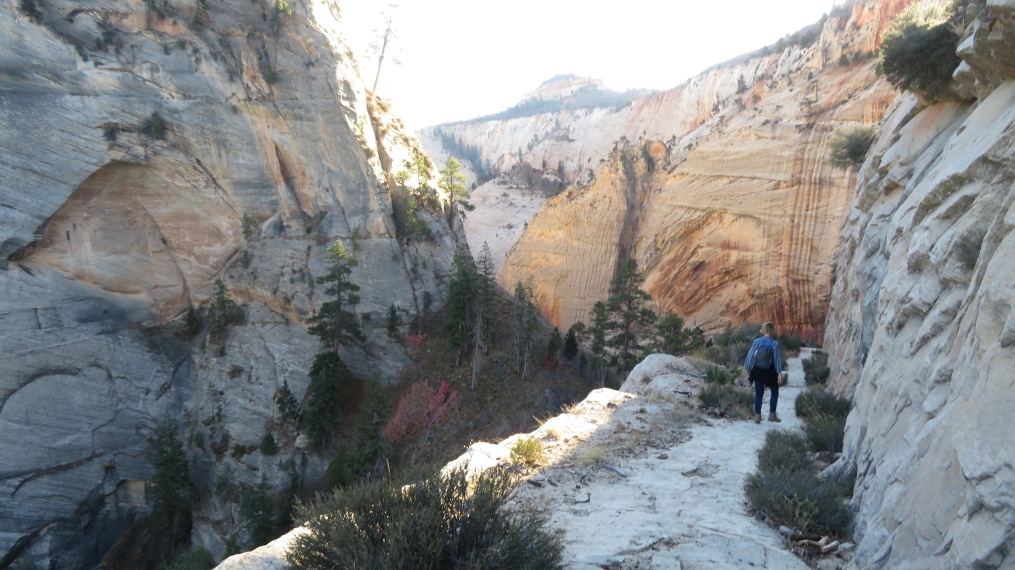 USA SW: Zion, West Rim Trail, Down the slickrock into Zion proper, Walkopedia