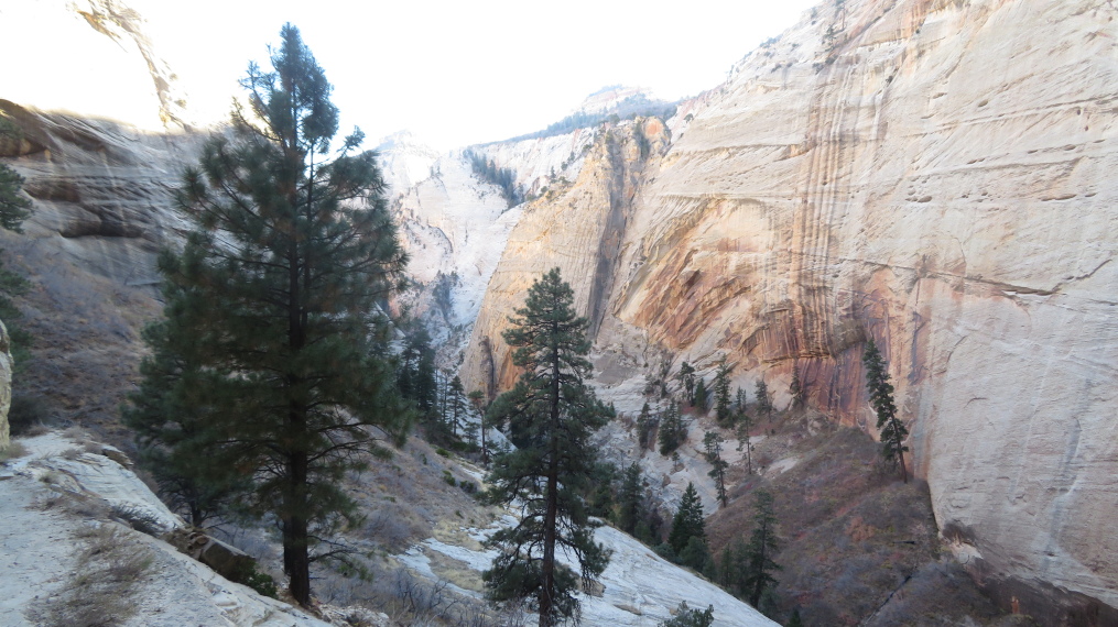 USA SW: Zion, West Rim Trail, , Walkopedia