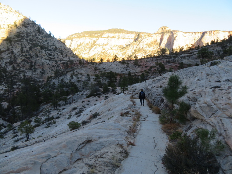 USA SW: Zion, West Rim Trail, , Walkopedia