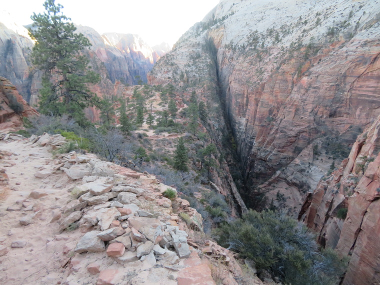 USA SW: Zion, West Rim Trail, , Walkopedia