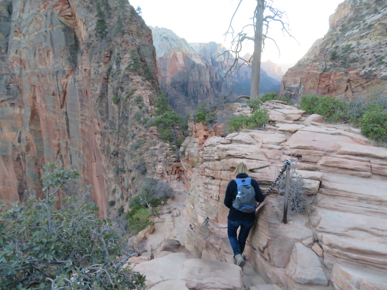 USA SW: Zion, West Rim Trail, , Walkopedia