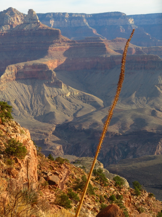 USA SW: Grand Canyon, South Kaibab Trail, , Walkopedia