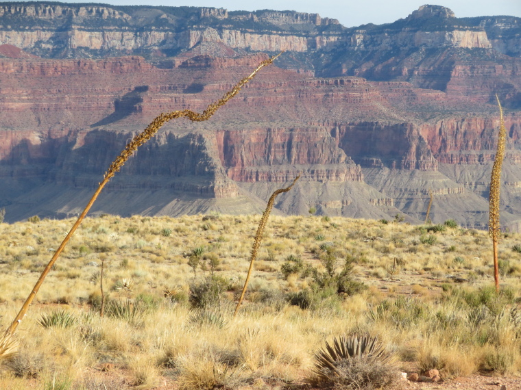 USA SW: Grand Canyon, South Kaibab Trail, , Walkopedia